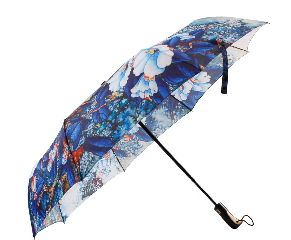 个性雨伞